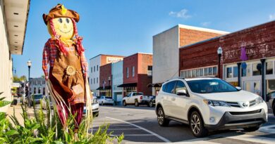 Alexander City history