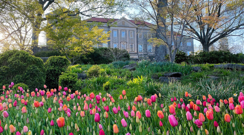 Cheekwood Estates and Gardens in Nashville TN