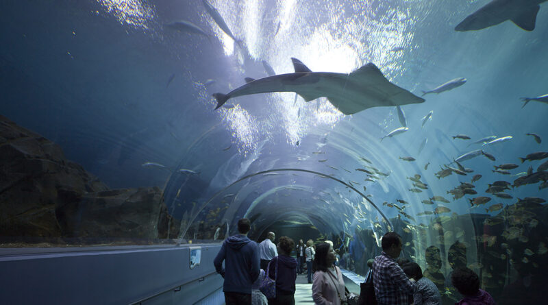 Things to do in Atlanta GA