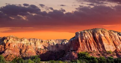 History of NM